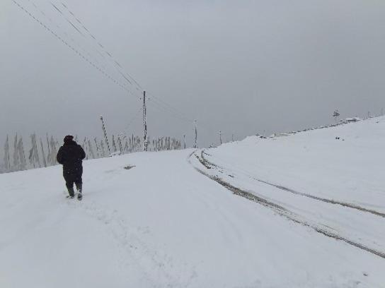 Tseten'S Inn Лачунг Екстериор снимка